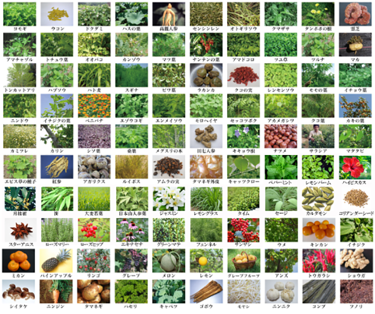 野草をメインに100種類の原料使用
